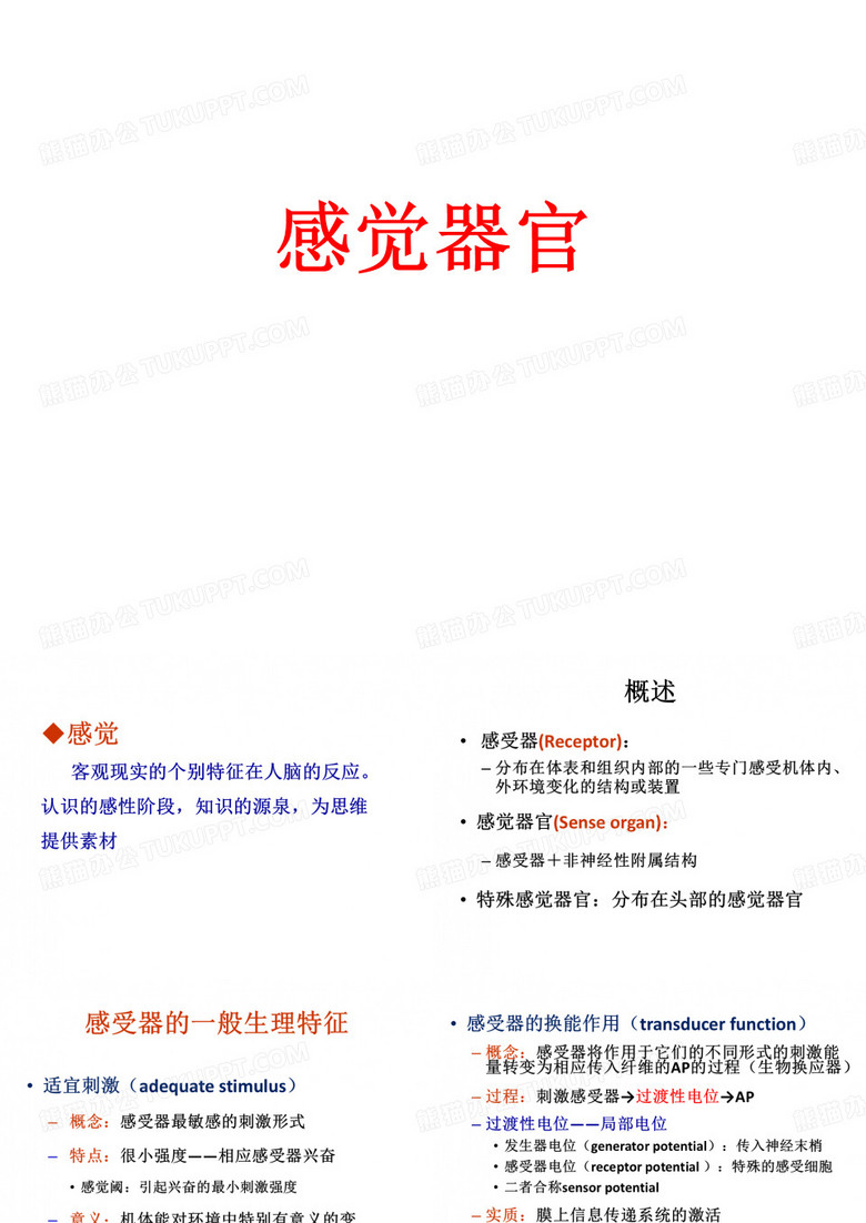 感觉器官