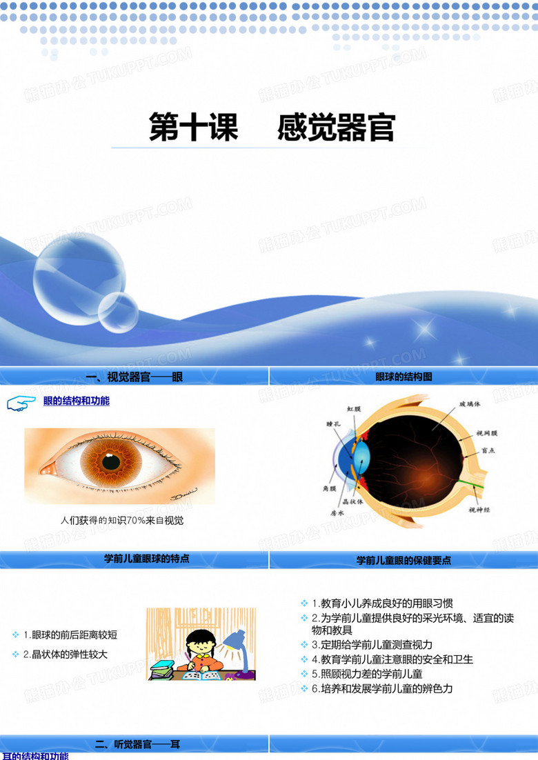 感觉器官