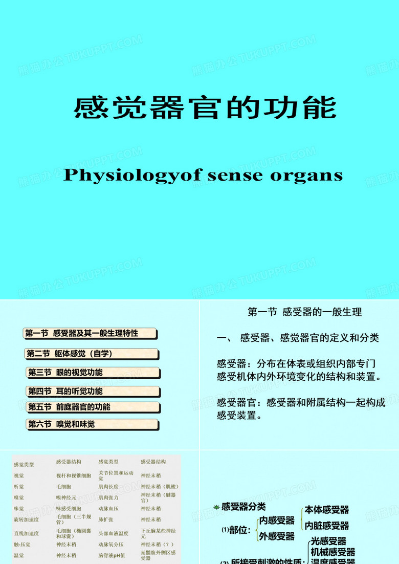 感觉器官功能