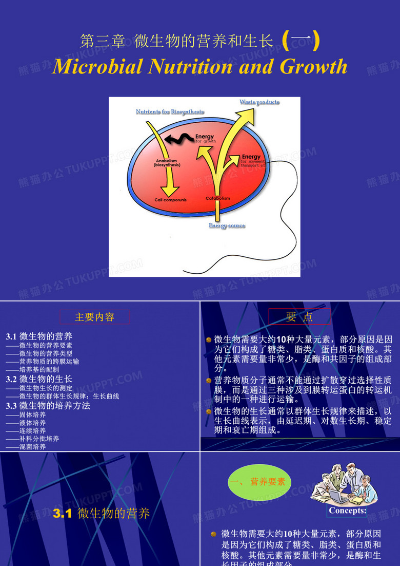 微生物的营养