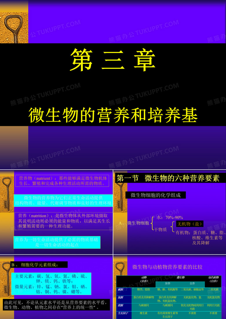 微生物的营养