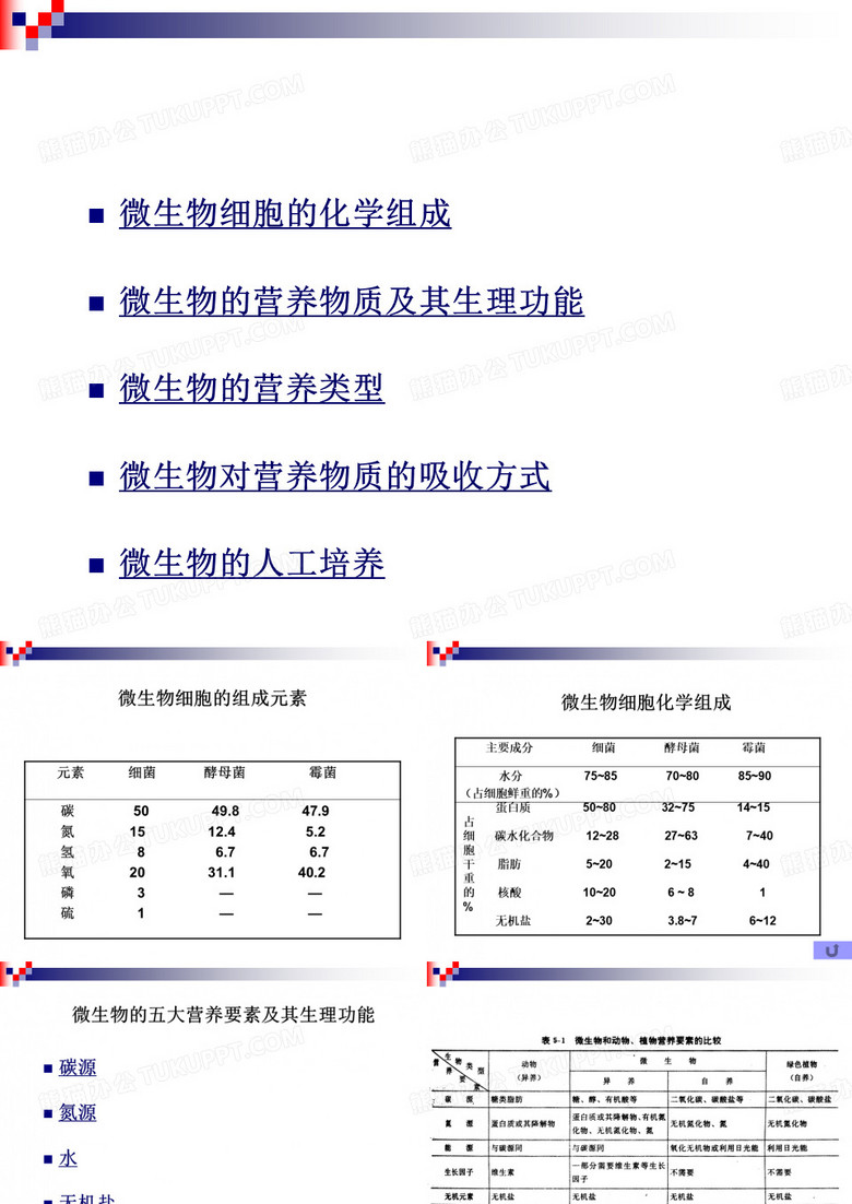 微生物的营养