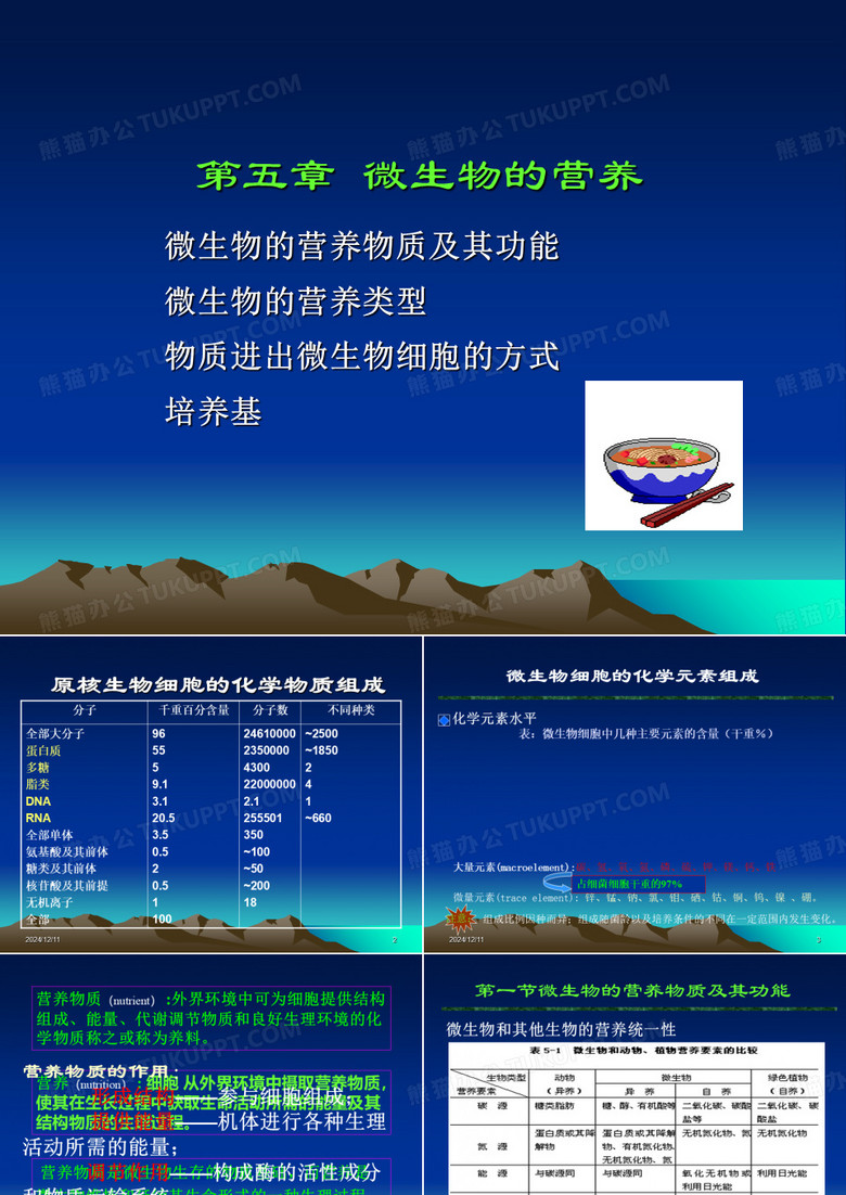 微生物的营养