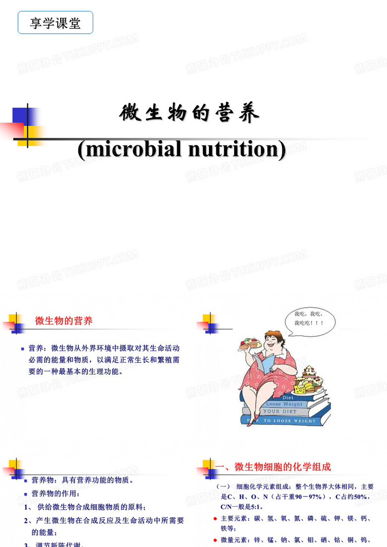 微生物的营养