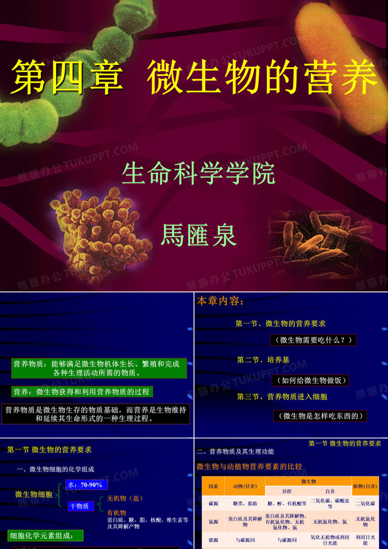 微生物的营养