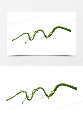 绿叶装饰藤条图片大全大图