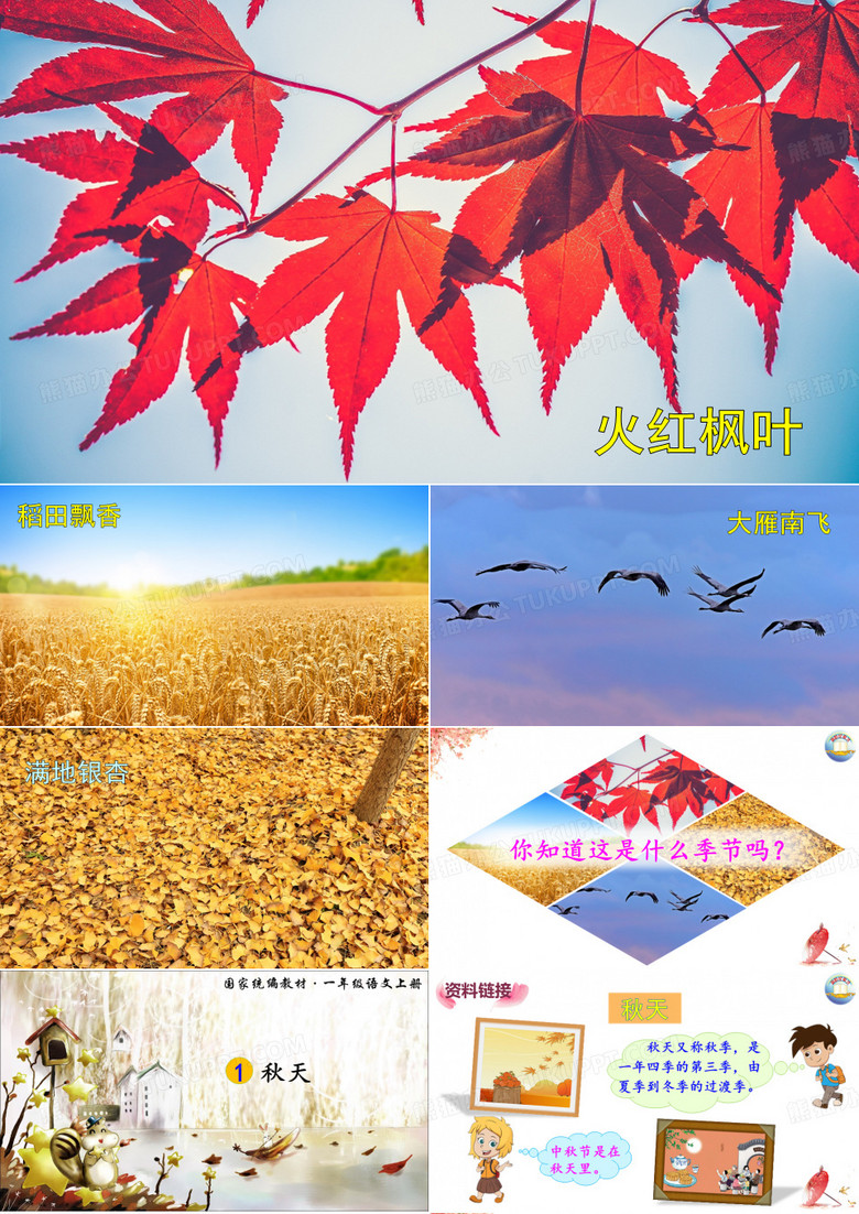 一年级语文上册《秋天》PPT