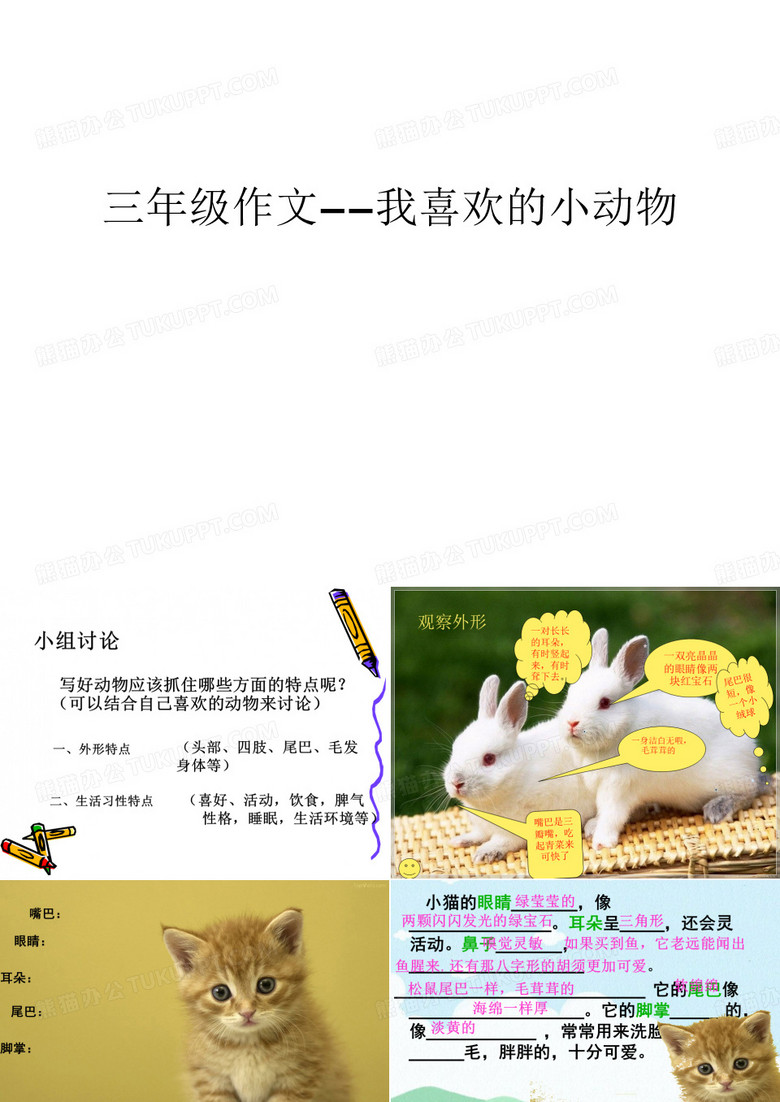 三年级作文——我喜欢的小动物教学提纲