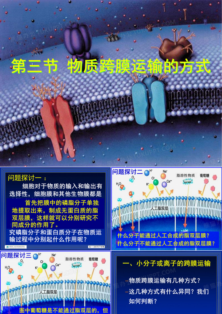 磷脂双分子层