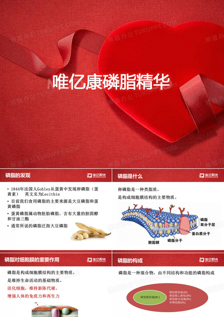 磷脂精华PPT