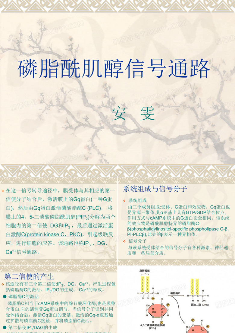 磷脂酰肌醇途径