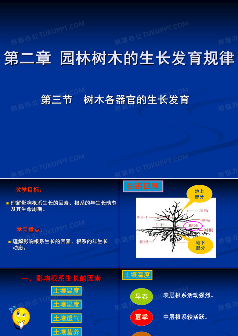 根系的生长
