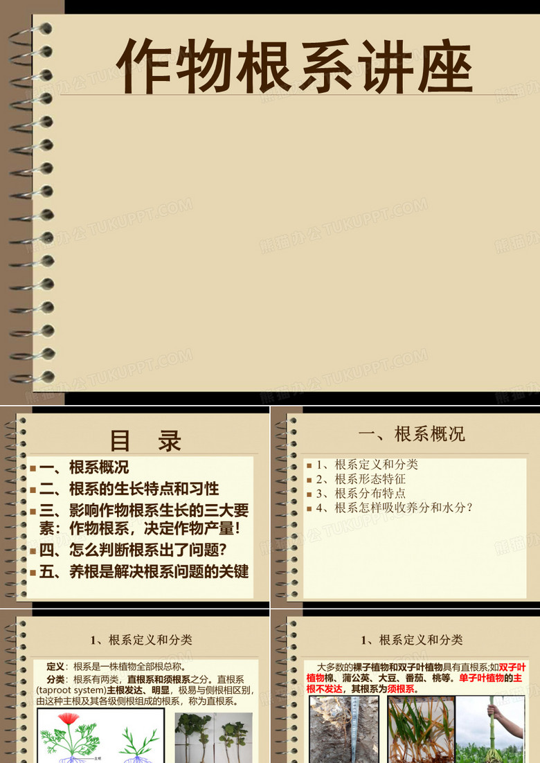 作物根系