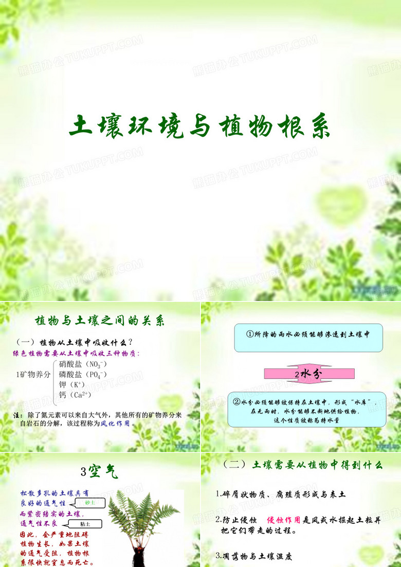 土壤与植物根系
