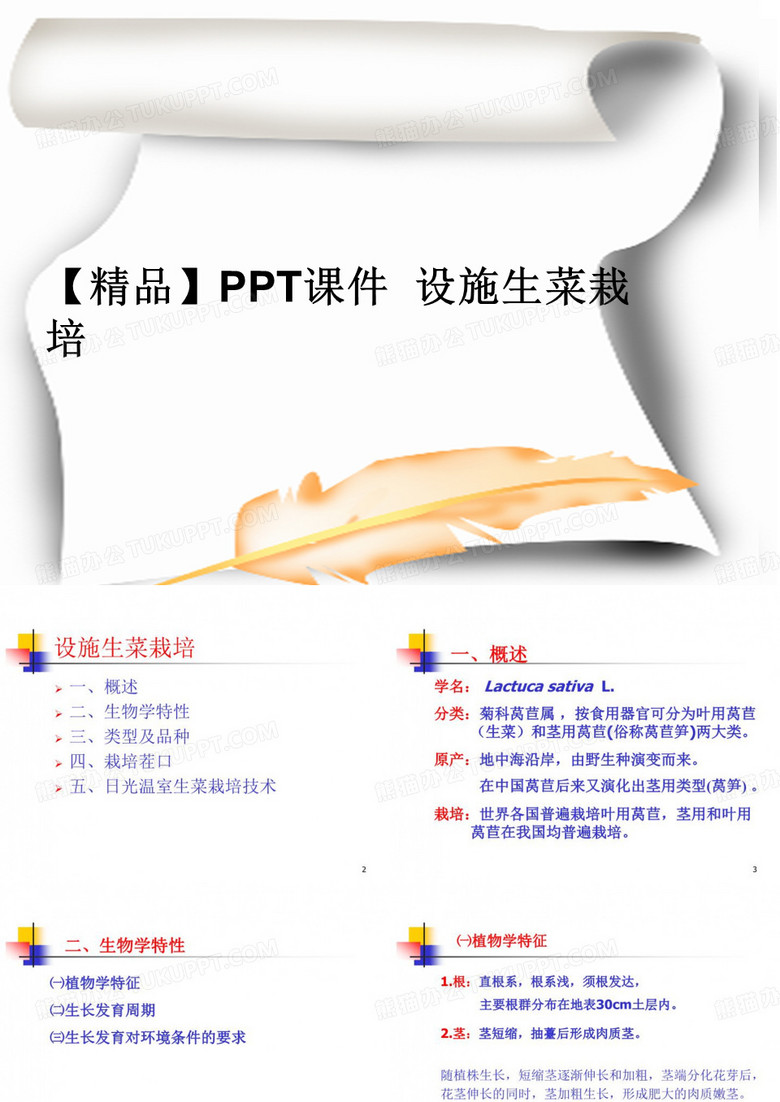 【精品】PPT课件  设施生菜栽培