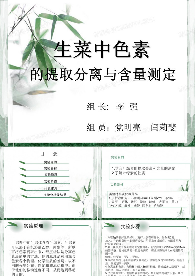 生菜中色素提取分离和含量测定