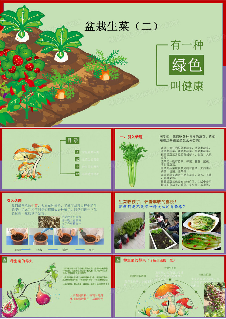 盆栽生菜(二)(教学课件)-二年级下册劳动教育“小农庄”(校本课程)