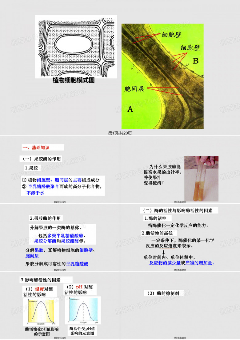 果胶酶在果胶生产中的运用PPT课件
