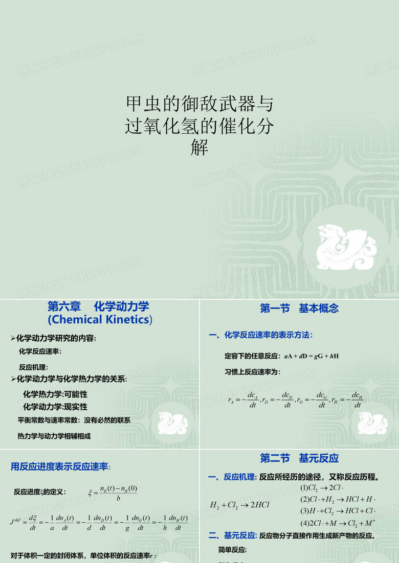 甲虫的御敌武器与过氧化氢的催化分解