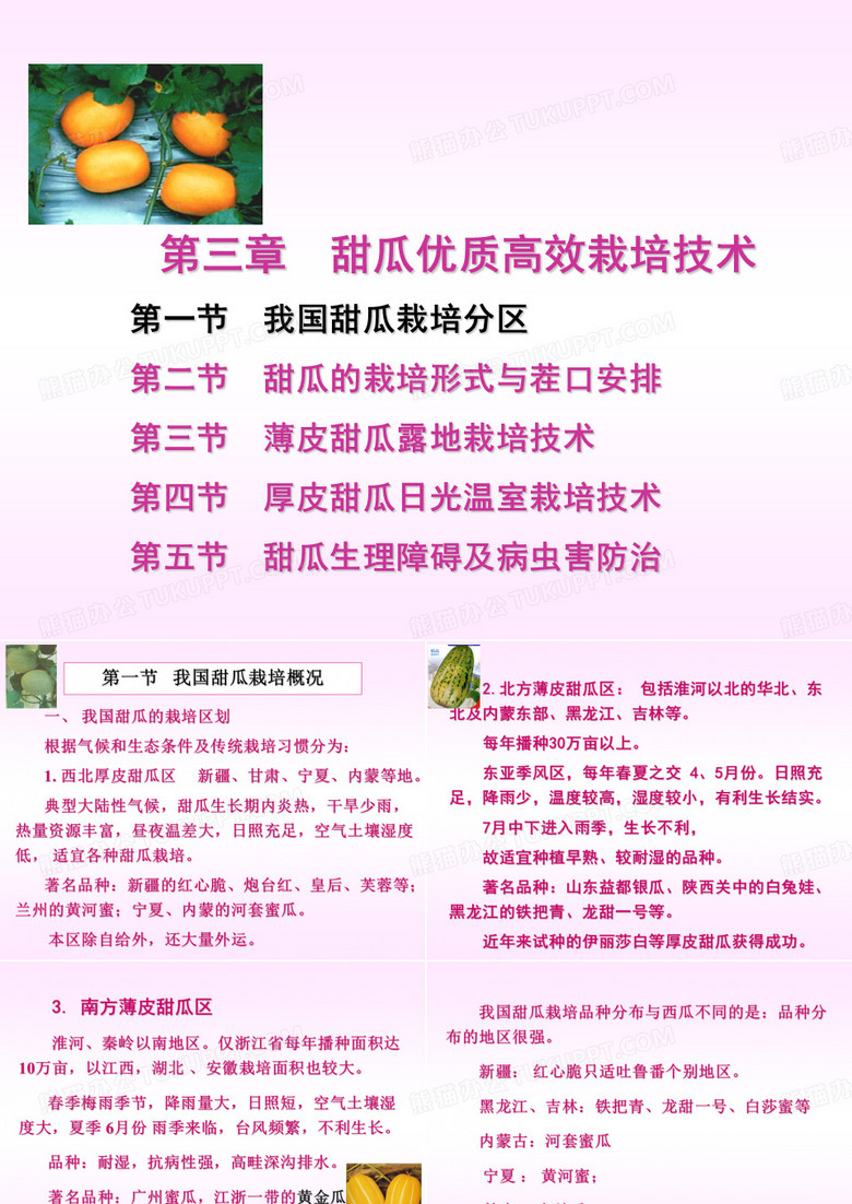 甜瓜