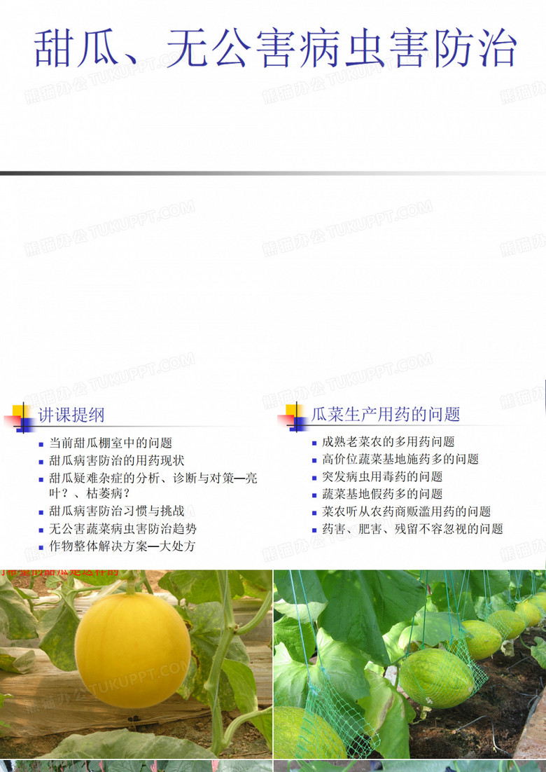 甜瓜病害 防治