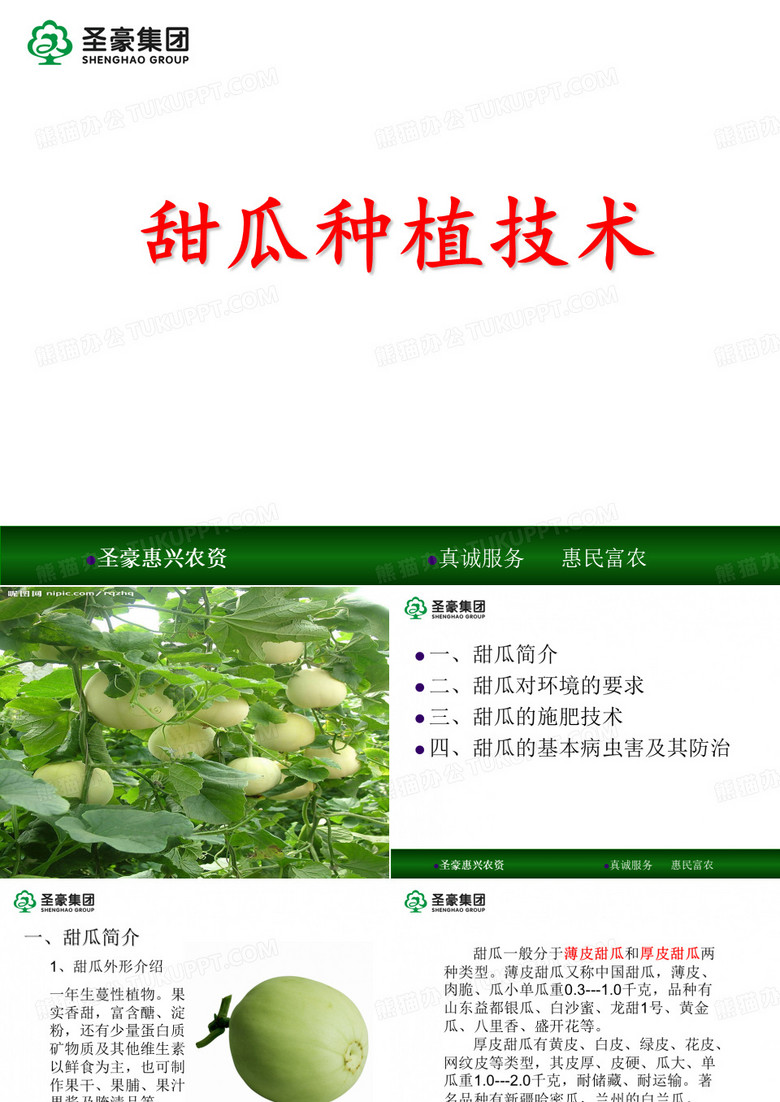 甜瓜种植技术