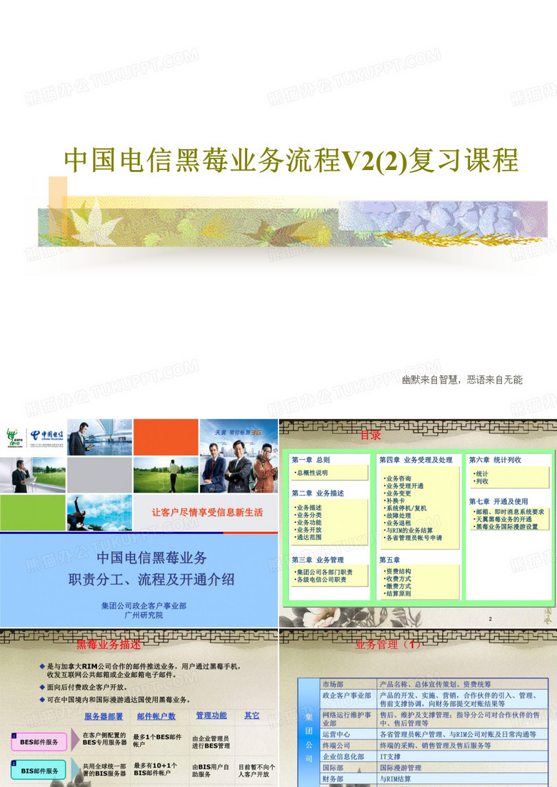 中国电信黑莓业务流程V2(2)复习课程PPT25页