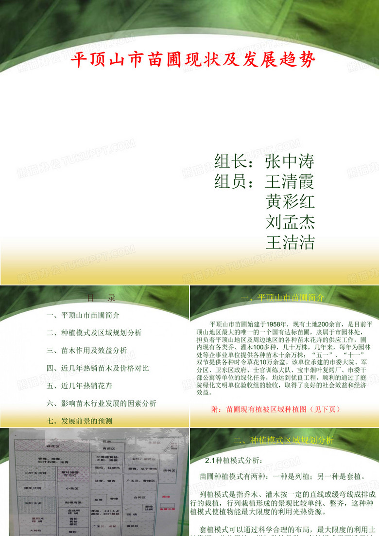 苗圃