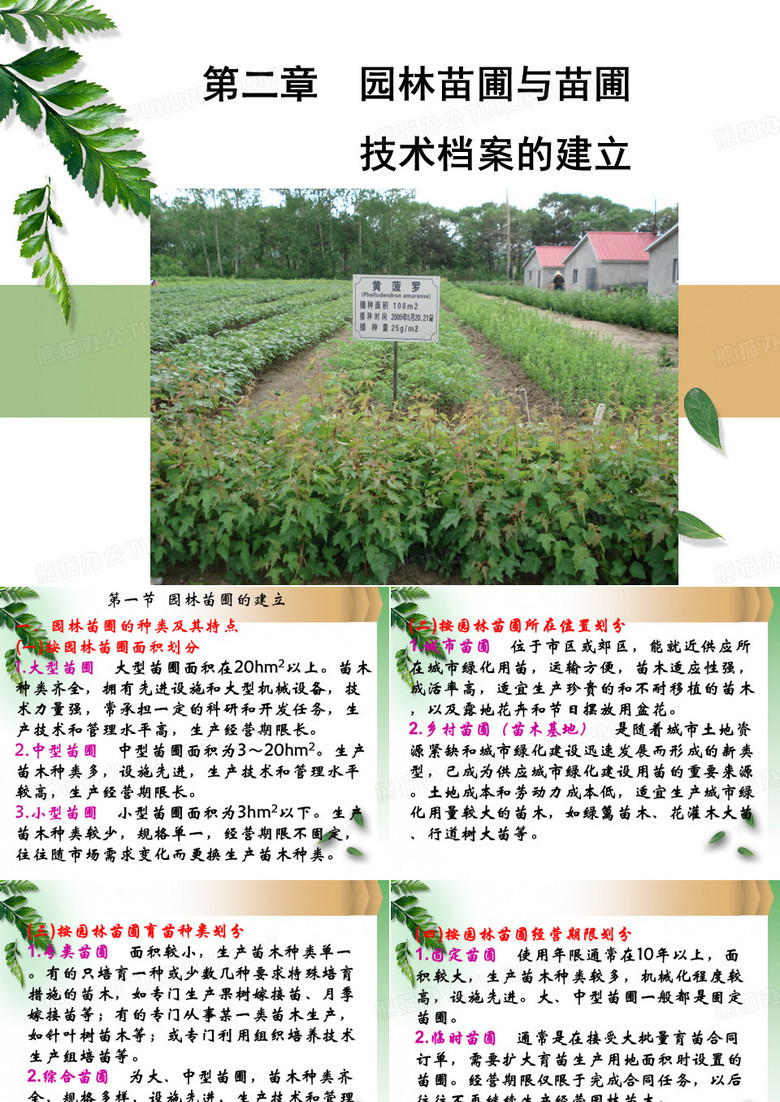 园林苗圃与苗圃技术档案的建立
