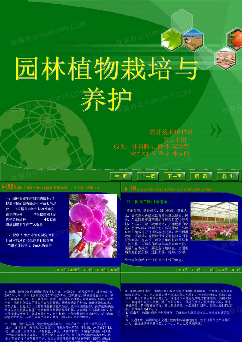 苗圃的建立