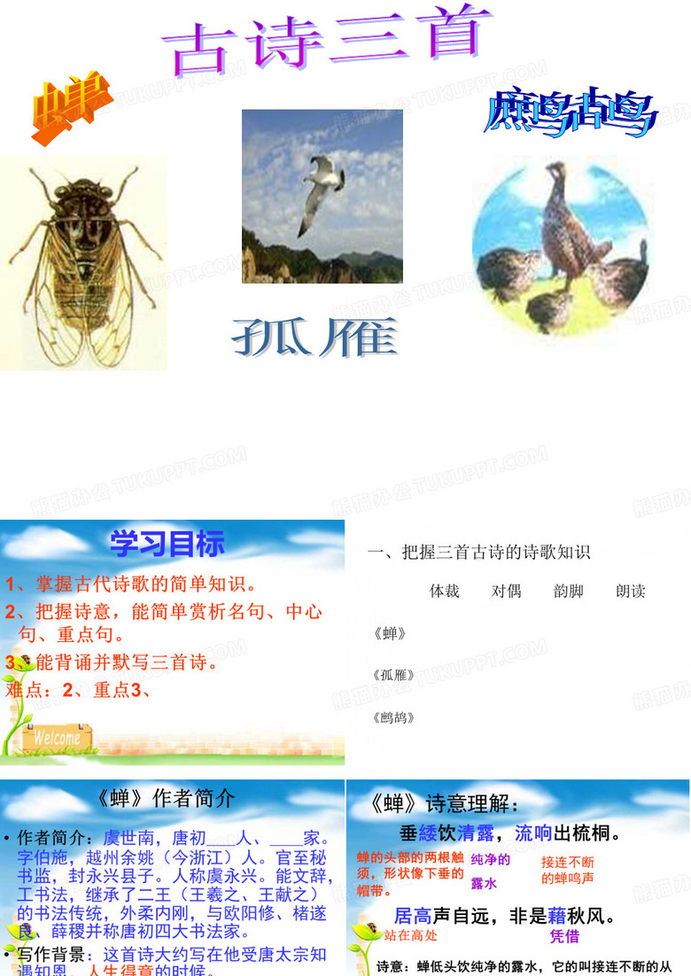 孤雁课件