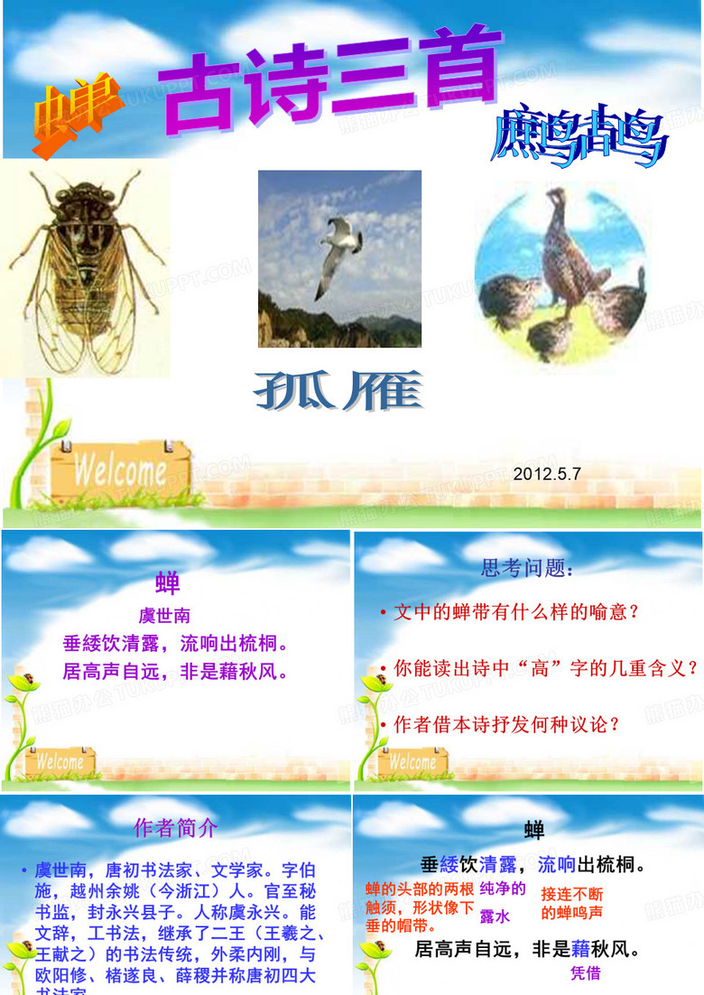 古诗三首(《蝉》《孤雁》《鹧鸪》)