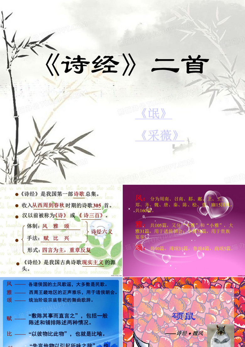 硕鼠
