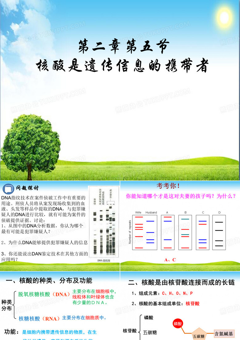 核酸是遗传信息的携带者