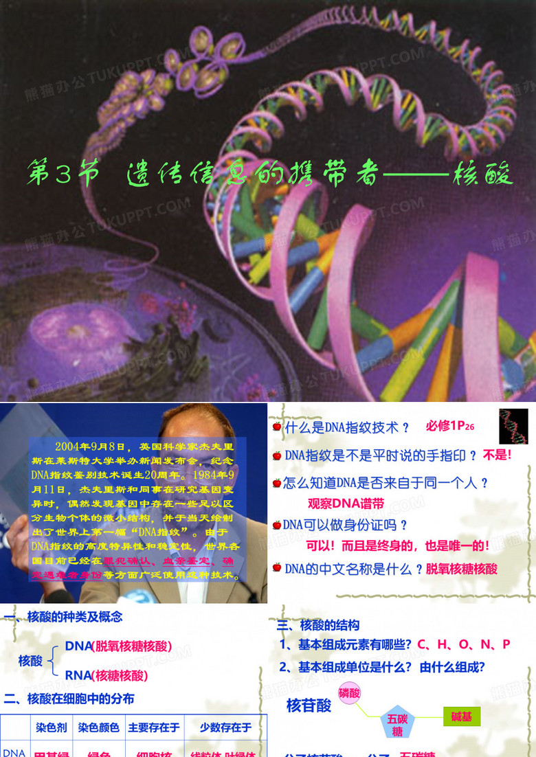 遗传信息的携带者——核酸