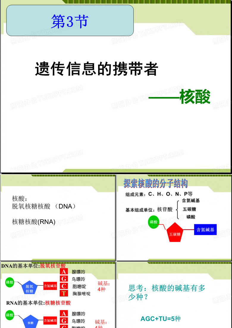 遗传信息的携带者——核酸