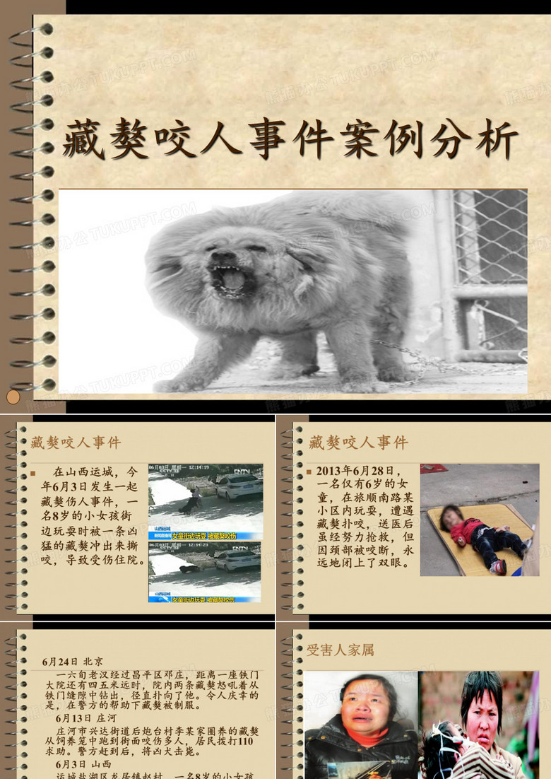 藏獒咬人事件案例分析 2