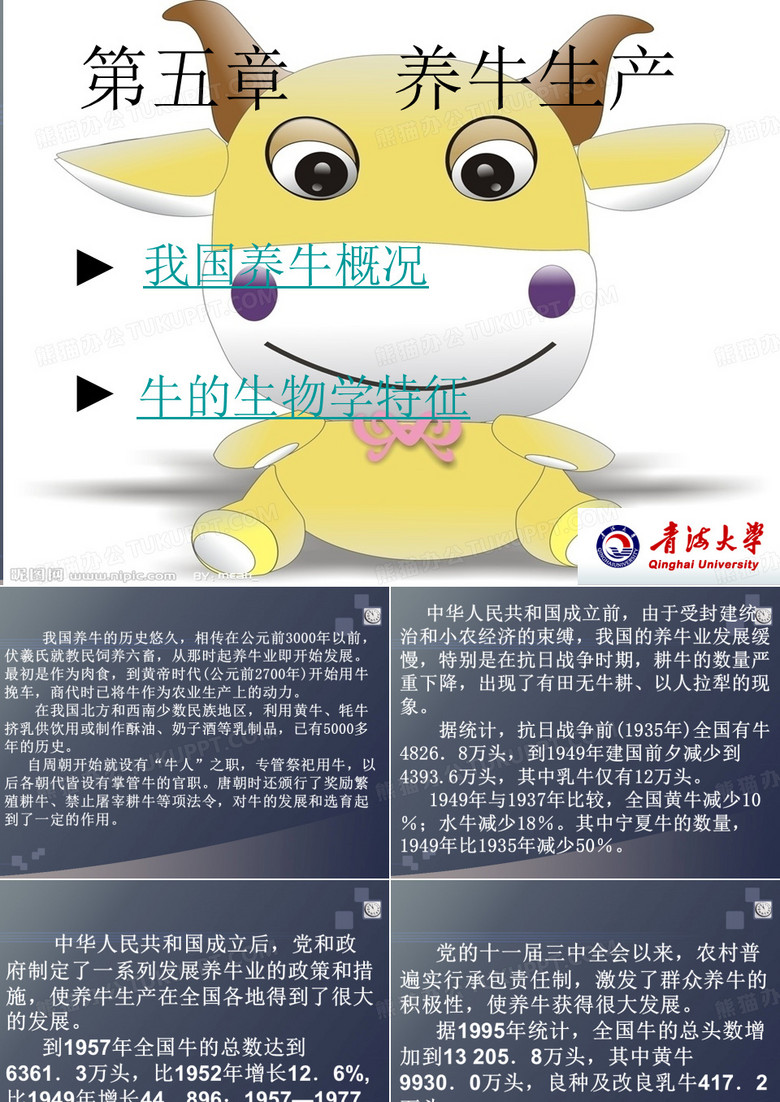 养牛生产