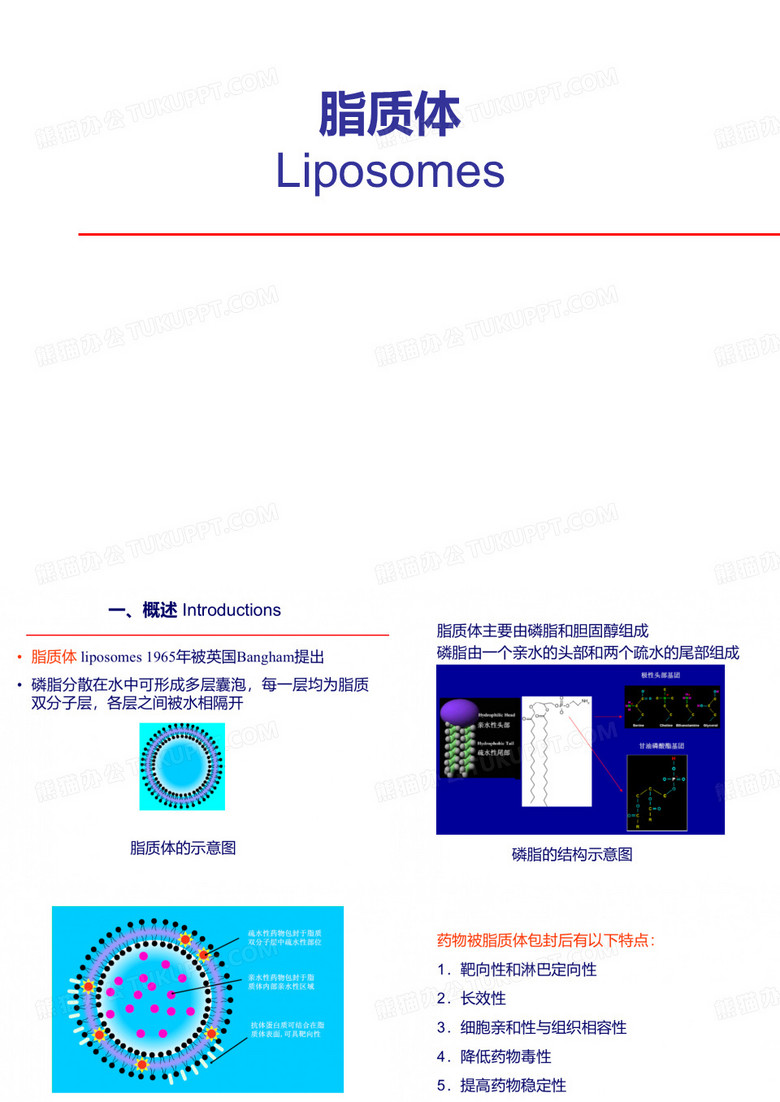 第十一章脂质体