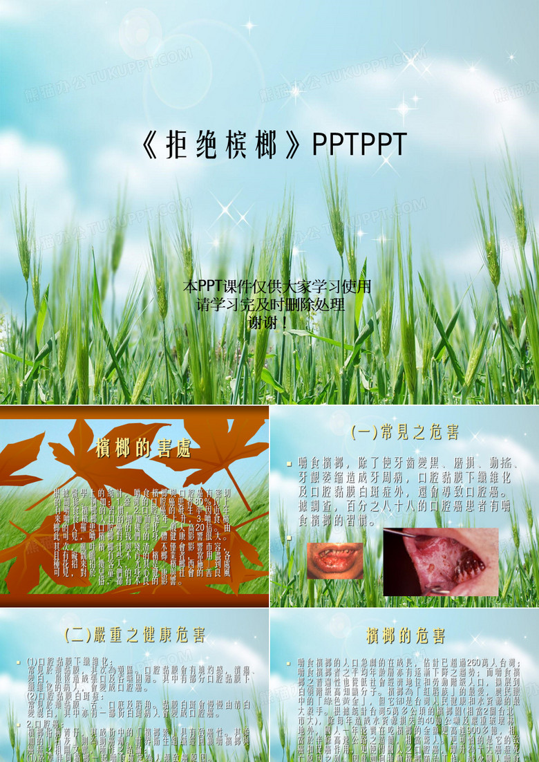 《拒绝槟榔》PPTPPT