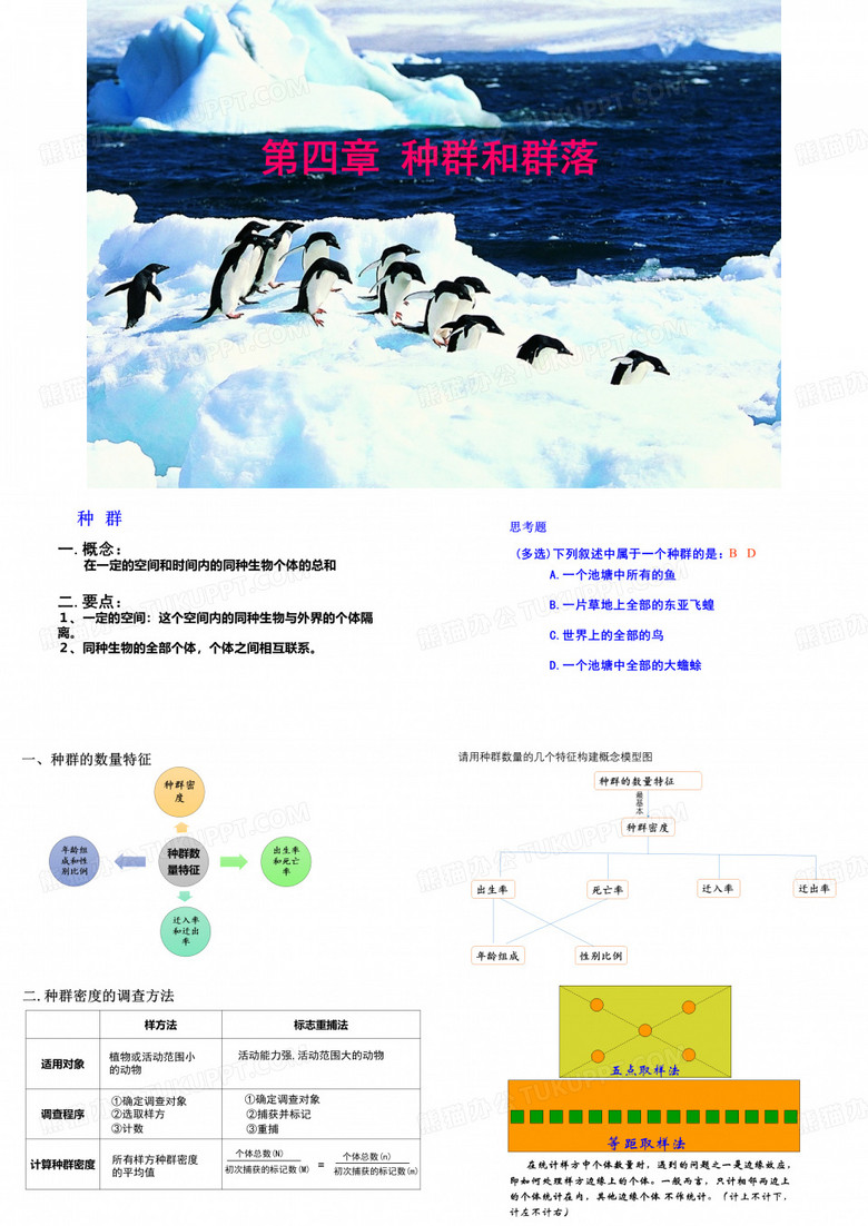 种群和群落 一轮