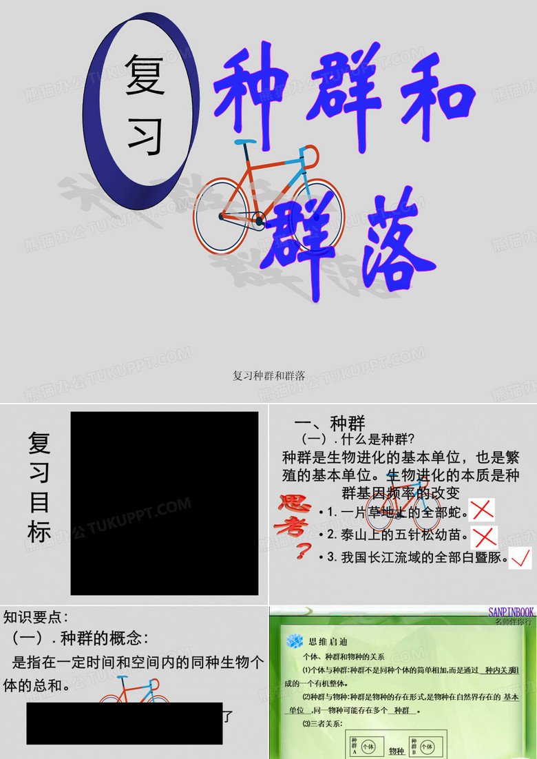 复习种群和群落
