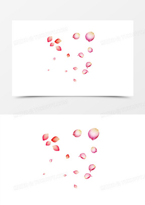 花瓣牡丹花瓣漂浮花瓣