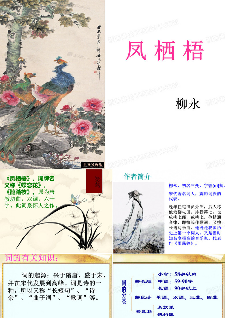 《凤栖梧》ppt课件