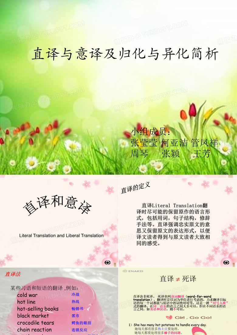 意译直译与归化异化