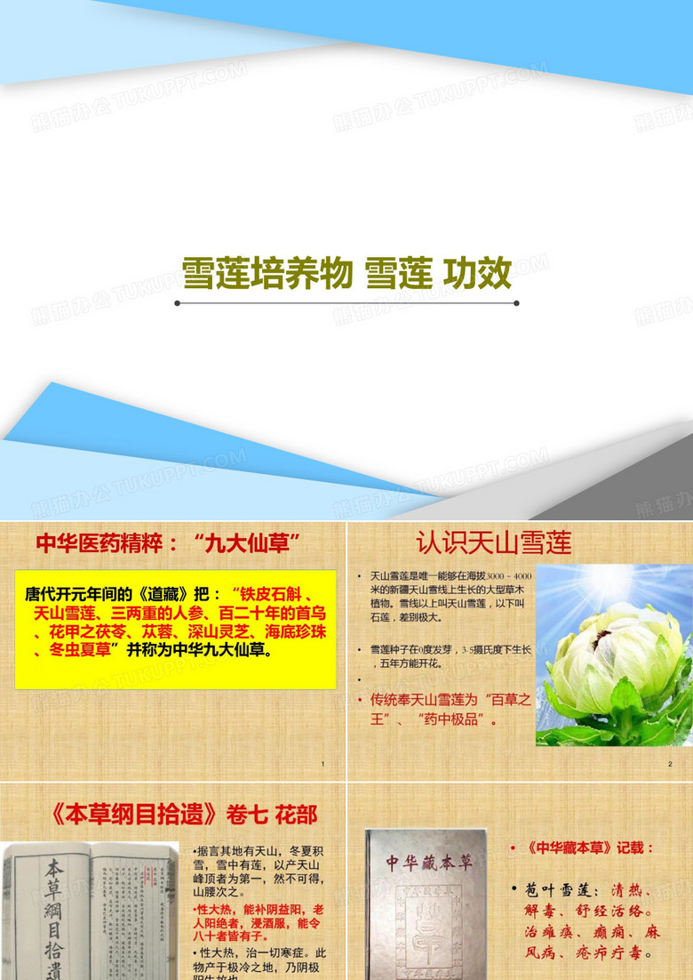 雪莲培养物 雪莲 功效PPT文档共45页