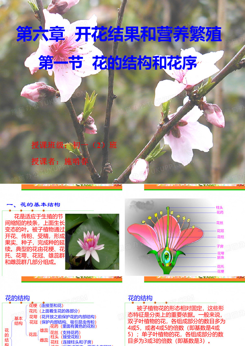 花的结构和花序
