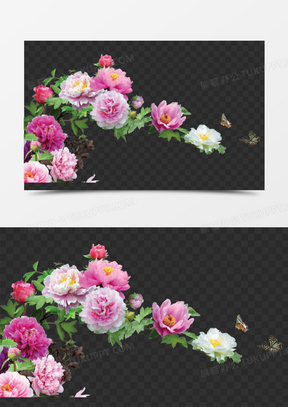 白色花素材 白色花图片 白色花素材图片下载 熊猫办公