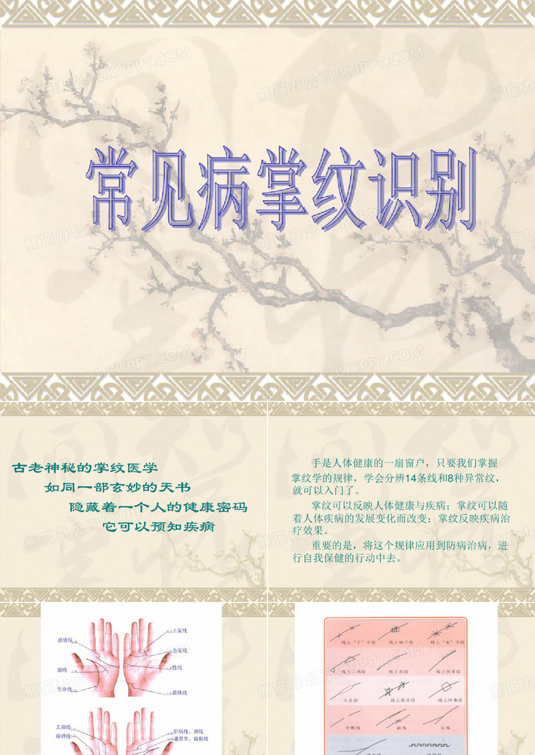 掌纹图谱课件