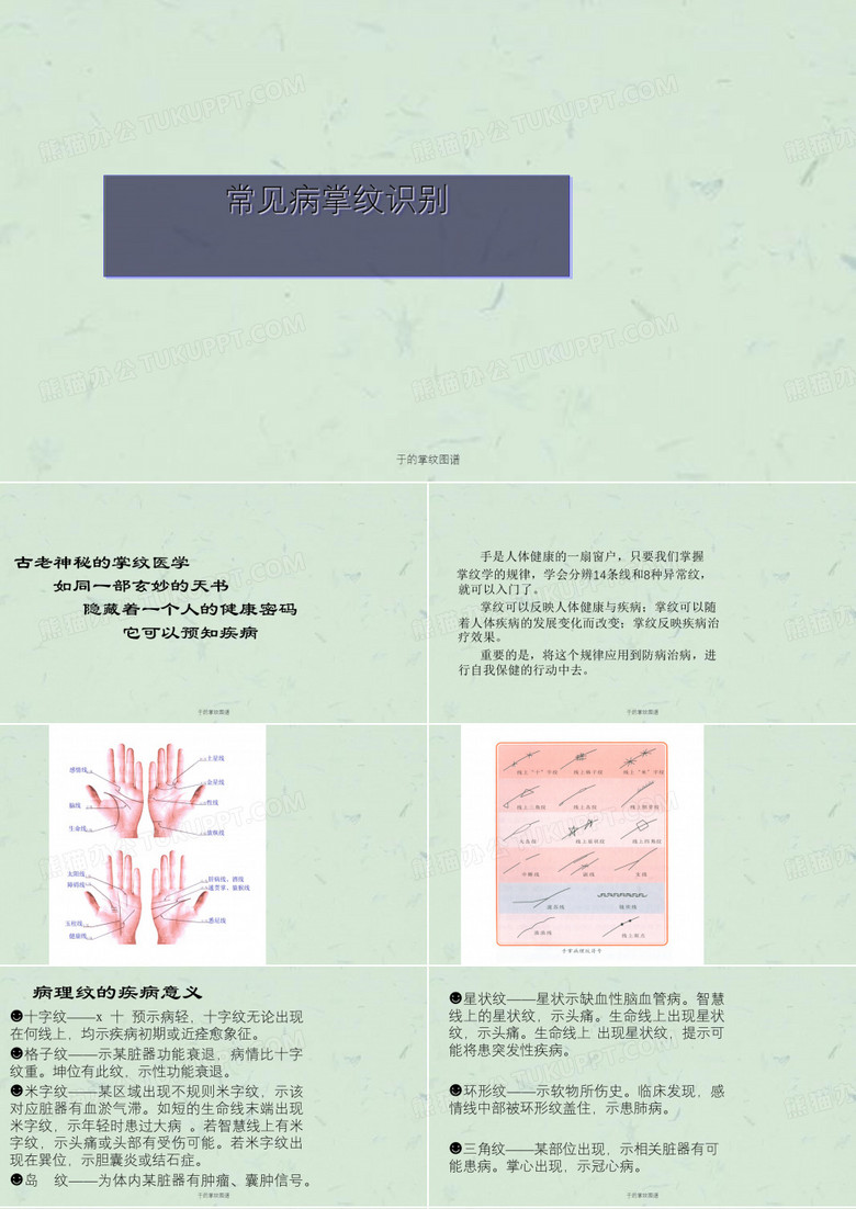 于的掌纹图谱ppt课件